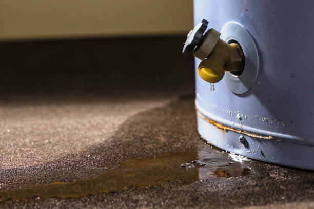  Moreland Hills, OH Water damage restoration Pros