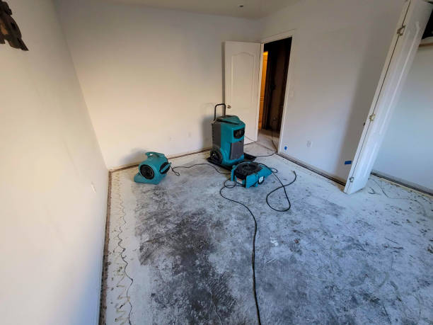 Best Mold removal after water damage  in Moreland Hills, OH