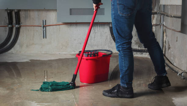 Best Water damage restoration experts  in Moreland Hills, OH