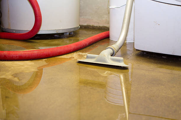 Best Flood restoration services  in Moreland Hills, OH