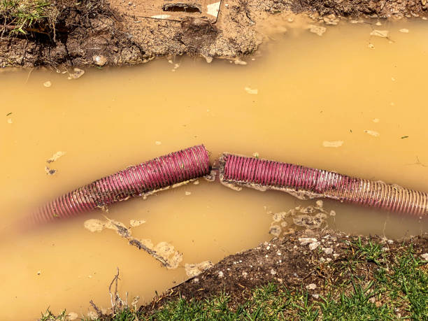 Best Carpet water damage restoration  in Moreland Hills, OH